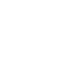 Decrypt logo