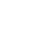 thedailyhodl